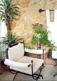 растения для каменных стен и интерьеров