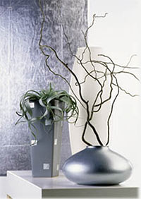 растения для интерьера в стиле хайтек