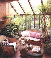 комнатные растения для большого помещения